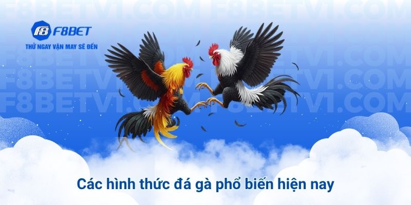 Các hình thức đá gà phổ biến hiện nay