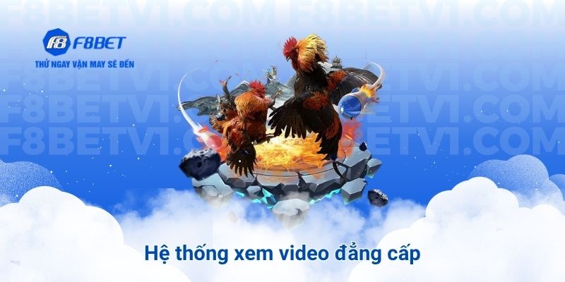 Hệ thống xem video đẳng cấp